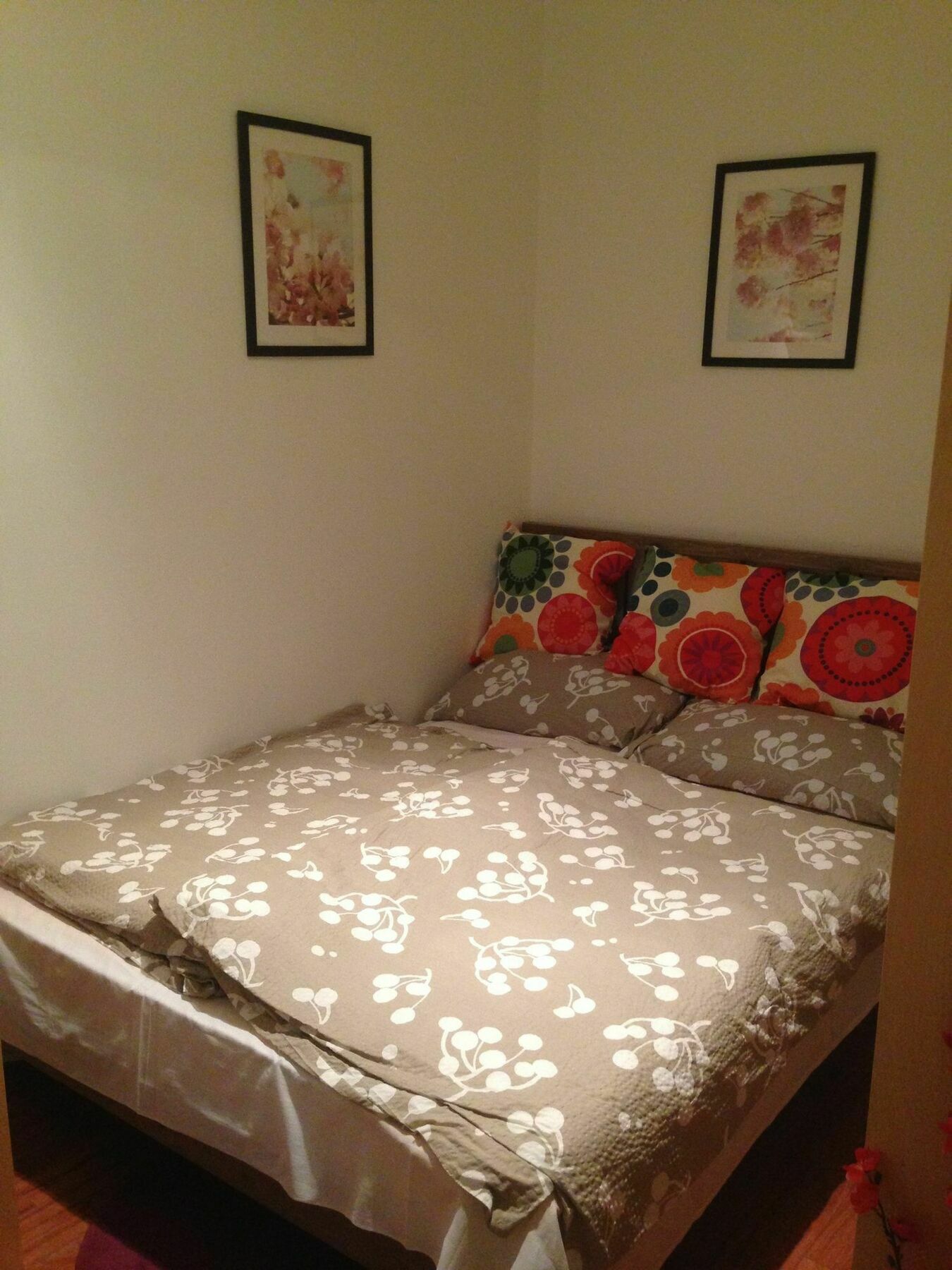 Homestay Pauler19 *